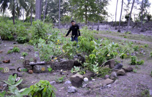 Makam Abu Chik Pendiri Kerajaan Aceh Darussalam Terabaikan