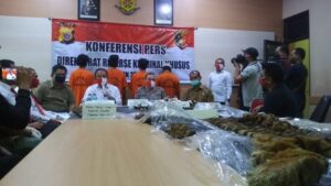 Sindikat Penjual Kulit Harimau 100 Juta Ditangkap di Aceh Timur