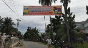 Hati-Hati Lepas Sapi di Desa Ini, Pemilik Akan di Denda 300.000