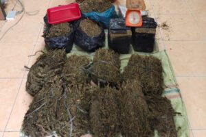 Polisi Langsa Tangkap Sopir Mopen Bersama 6 Kg Ganja Siap Edar