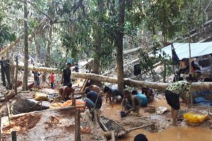 Miris, Harga 1 Sak Beras di Areal Tambang Papua Capai 2 Juta