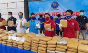 BNN Amankan 298 Kilo Ganja Bercampur Buah Alpukat Asal Aceh