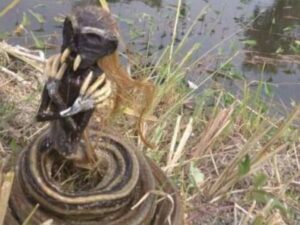 Heboh, Benda Berbentuk Jenglot Muncul di Sragen