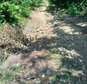 Kondisi Jalan Perkebunan Rusak Parah, Masyarakat 4 Desa di Pandrah Harapkan Perhatian Pemerintah
