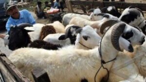 Hukum Berqurban dengan Uang Hasil Korupsi