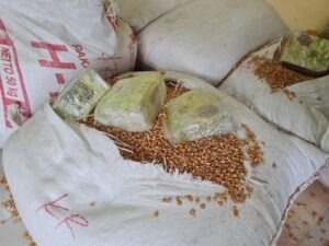 BNN Tangkap Truk Jagung Berisi Ratusan Kg Sabu di Tangerang