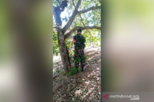 Seorang Anggota TNI Ditemukan Tewas Tergantung di Pohon Dengan Tangan Terikat