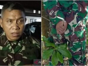 Anggota TNI Tewas Tergantung di Pohon Penyebab Masih Misteri