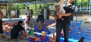 Gampong Matang Teungoh Bagikan Ratusan Paket Daging Qurban untuk Warga