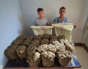 Polresta Banda Aceh Tangkap 9 Tersangka Narkoba, Begini Kronologisnya