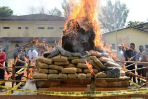 Ditnarkoba Polda Aceh Musnahkan Ratusan Kilo Narkoba Hasil Tangkapan Tahun 2020