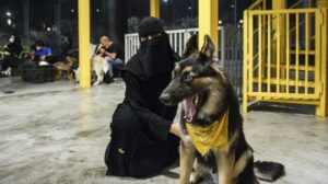 Barking Lot, Kafe Anjing Pertama di Arab Saudi