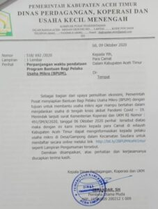 Ayo Daftar Disini! Bantuan UMKM 2,4 Juta Untuk Aceh Timur