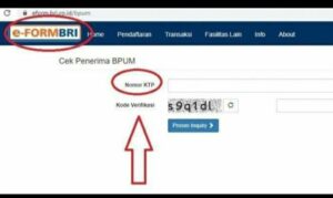 Cara Mengecek Penerima BLT UMKM Rp 2,4 Juta di e-Form BRI