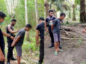 Pacari Gadis 15 Tahun, Pemuda Desa Ngebut Setubuhi Korban 10 Kali di Kebun