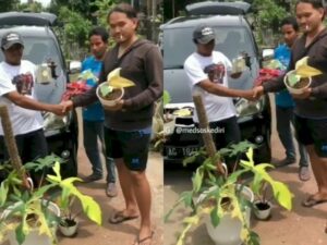 Gila! Pria Ini Tukar ‘Janda Bolong’ dengan Mobil Avanza