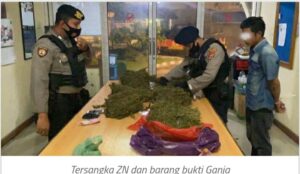 Patroli Nataru, Polres Lhokseumawe Gagalkan Peredaran 10 Kg Ganja