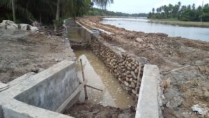 Proyek Irigasi Paya Geurugoh Bireuen 6,2 Milyar Dibangun Cilet-cilet Tanpa Saluran Pembuang