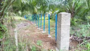 Proyek Pagar Peternakan Ranto Panyang Bireuen Senilai 1 Milyar Lebih Tidak Selesai Dikerjakan