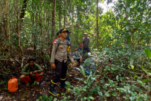 7 Hari Hilang Hutan Perbatasan RI-Malaysia, Warga Kapuas Hulu Belum Ditemukan