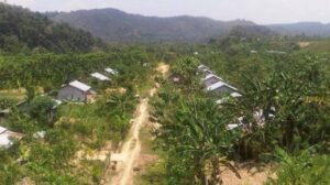 Program Transmigrasi, Warga Malang Jatim yang Pindah ke Aceh Dapat 1 Hektar Lahan