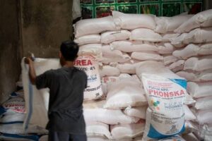 Sebut Manjakan Petani, Anggota DPR RI Ini Minta Pupuk Bersubsidi Dicabut