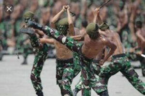 Tentara Cadangan 2021 Segera Direkrut, Hanya untuk Warga Usia 18-35 Tahun