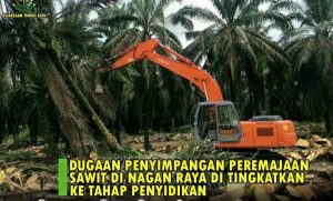 Rugikan Negara 6,5 M, Program Peremajaan Sawit di Nagan Raya Masuk Tahap Penyidikan