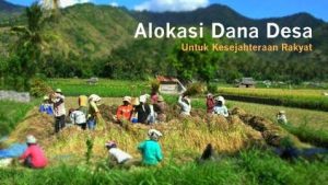 Dana Desa Pucok Alue Barat Tidak Cair-cair, Pemkab Aceh Timur Diminta Turun Tangan