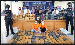 Polres Gayo Lues Amankan 195 Ganja, 2 Tersangka Diringkus, Lima Masuk DPO