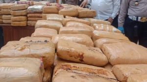 Bareskrim Gagalkan Jaringan Ganja Aceh Beromzet Rp 842 Miliar