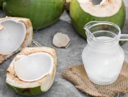 Ramai, Minum Air Kelapa Hilangkan Efek Vaksin, Dokter Ahli: Itu Mitos