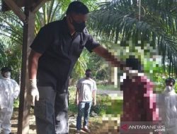 Korban Bunuh Diri di Nagan Raya Pemburu dari Sumatera Utara
