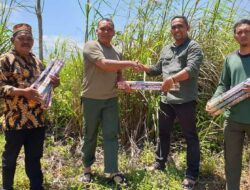 Penebangan Hutan Ilegal Marak di Bireuen, Gajah Rusak Kebun Warga