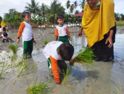 Siswa TKIT Azkiya Bireuen Diajak Turun ke Sawah