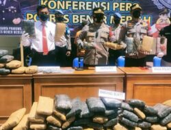 Polisi Sita 147 Kg Ganja Kering di Aceh