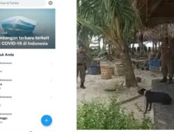 Anjing Canon di Singkil Pernah Gigit Warga Hingga Dilarikan ke RS