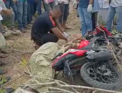 Naas, Warga Bireuen Tewas Tertimpa Pohon Tumbang