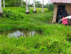 Balita 2,5 tahun Ditemukan Tidak Bernyawa di Sumur Tanah di Aceh Utara