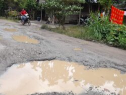 Jalan Penghubung Juli-Jeumpa Rusak Parah, Petani Menjerit