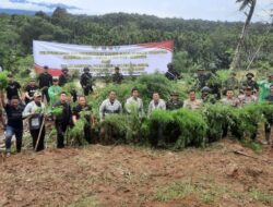 Polisi Musnahkan 40 Ton Ganja Hasil Temuan di Aceh