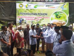 Kolaborasi dengan PT PIM, FDKP Tanam 1000 Pohon di Bantaran Krueng Peusangan