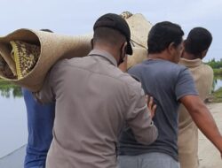 Pamit Cari Kepiting, Warga Aceh Utara Ditemukan jadi Mayat