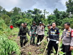 Delapan Hektare Lahan Ganja Kembali Dibakar di Aceh
