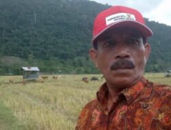 Terkait Dugaan Penyimpangan Bantuan, Ini Kata Kadis Pertanian dan Perkebunan Bireuen