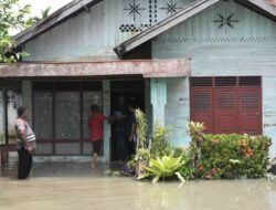 Bireuen Dikepung Banjir, Ratusan Rumah Terendam Air