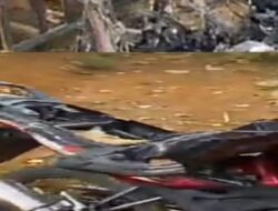 Viral, Enam Unit Motor Pengunjung Air Terjun 7 Bidadari Dibakar OTK