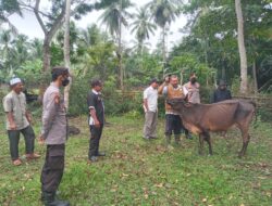 Sikapi PMK Pada Sapi, Polres Aceh Utara Lakukan Pengawasan