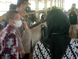 Marak Wabah PMK, Kapolres Bireuen Cek Lokasi Peternakan