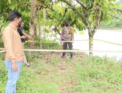 Petani Temukan 2 Buah Mortir Peninggalan Belanda di Aceh Tenggara